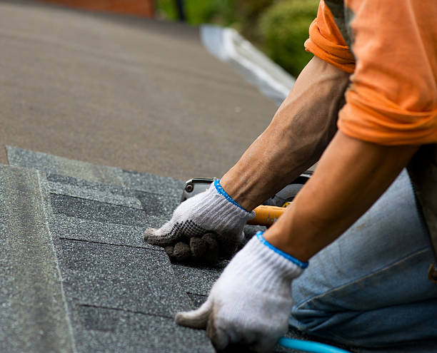 Best Gutter Installation and Roofing  in Coldstream, KY